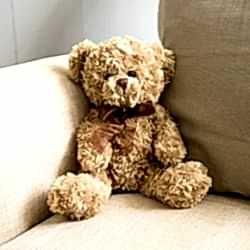 110312_standing.jpg