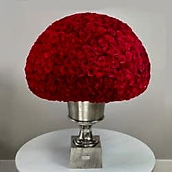 700_2b1e8267.jpg