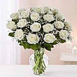 98714sx.jpg
