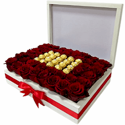 Chocorosa_Red-removebg-preview.png
