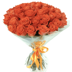 Snimok-ekrana-2019-07-17-v-15.28.56-600x581.png