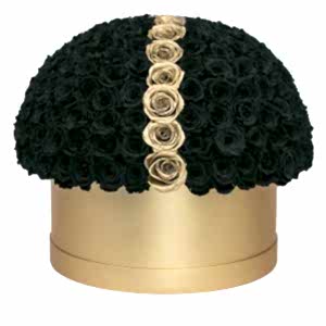 black-and-gold-roses-luxury-box-698428.jpg
