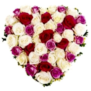 heart-of-red-white-pink.jpg