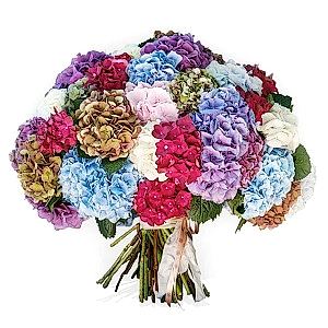 hydrangea_bouquet-turkey.jpg