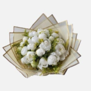 peony-21655.jpg