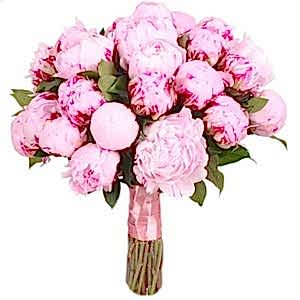 peony-bridal-bouquet-741431_1024x1024.jpg