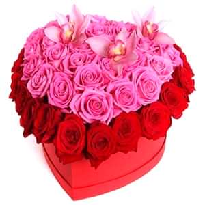 pink-birds-heart-box-329045_1024x1024.jpg