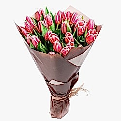 pink-tulips.jpg