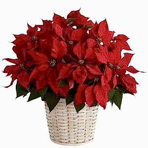 poisenttia-in-the-basket-568824_1024x1024.jpg