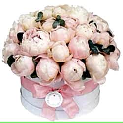 queens-hat-box-254557_305x.jpg
