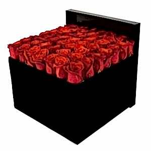 red-kiss-roses-signature-box-702453_1024x1024.jpg