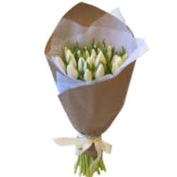 tulipani-bianchi_grande.jpg