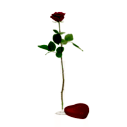 wA1710_2_l.png