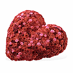 xdldeeplove10g_l.png